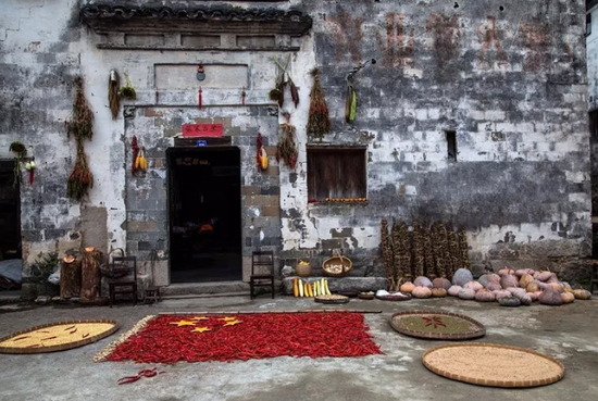 摄影：田草32111