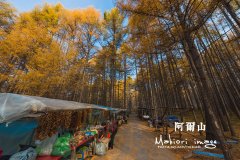 阿尔山：金色童话里都难寻觅的美景