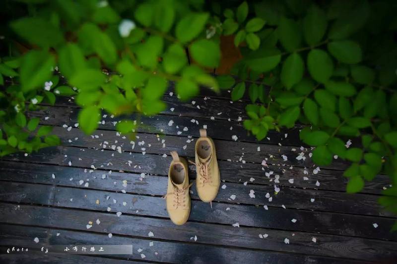逸景终南下,霏雨忘太白
