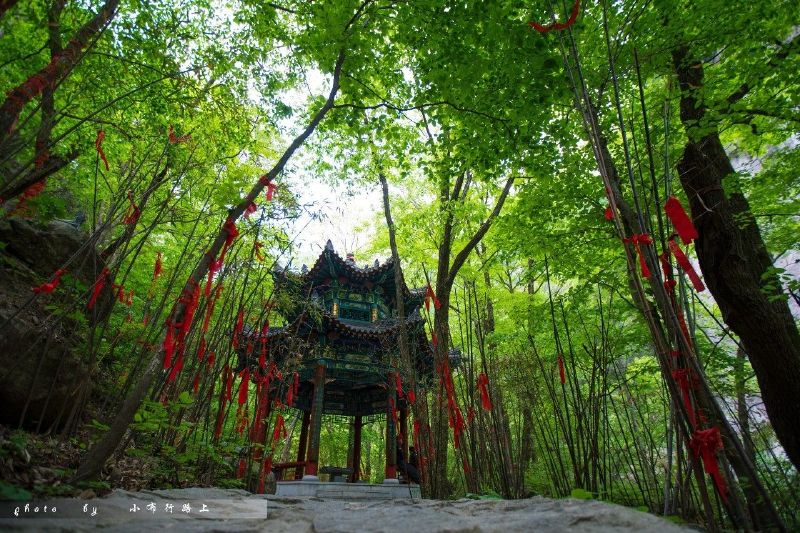 逸景终南下,霏雨忘太白