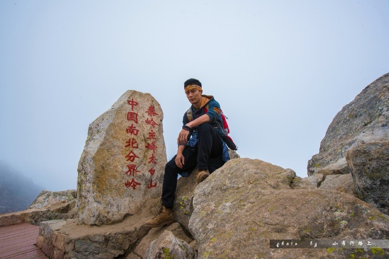 逸景终南下,霏雨忘太白