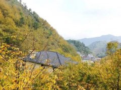 皖南赏秋 怎能大意失“荆州”