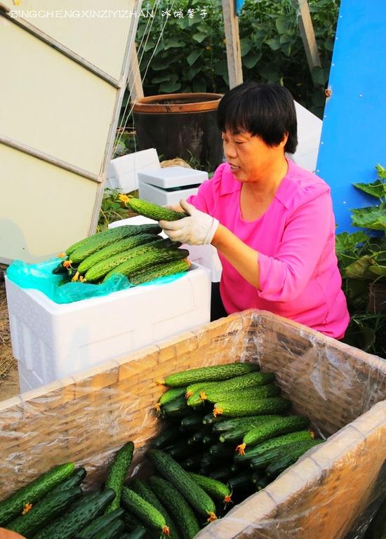 寿光洛城,中国“菜都”上的幸福之城