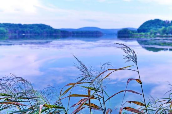 【原创】九月东游,秋风初至北海道