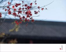 秋漫颍上 像一首诗 更像一幅画