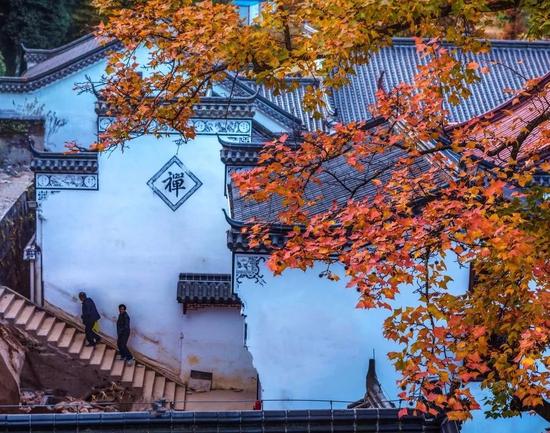 摄影:杨银龙