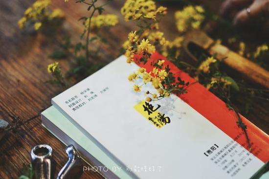 中国最有名的柿子沟里藏了一个美宿,被我们挖出来了