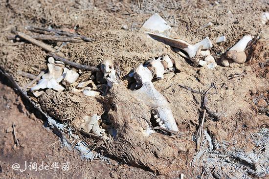 【新疆】巴楚:这座丝路古城沉寂了千年,却依旧美得极致