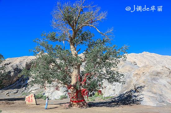 【新疆】巴楚:这座丝路古城沉寂了千年,却依旧美得极致