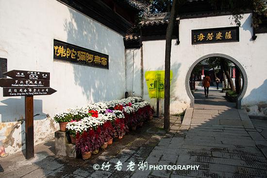 归元寺:游客为什么都要去这里数罗汉?