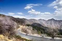 京郊5种玩法 带你把春色一网打尽