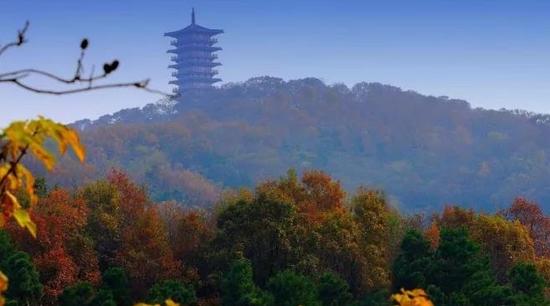 摄影:李平