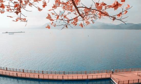 摄影:杨帆
