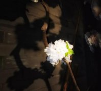 合肥大蜀山北大门胜境 文艺的半边街