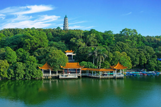 青秀山内绿树成荫 图:青秀山旅游风景区