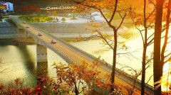龙井冲 回首皆风景