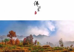 在她的镜头下 有你没见过的金寨之美