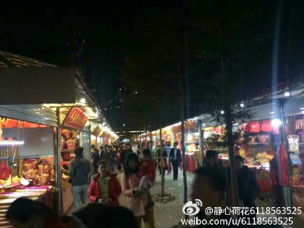 新浪博主:@静心荷花6118563525