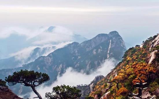 牯牛降 摄影:吴志刚