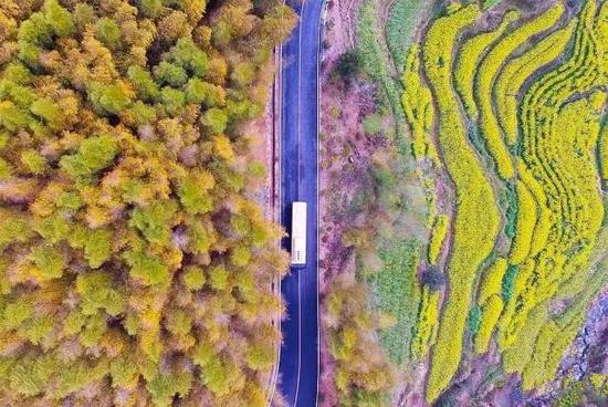 摄影:陈扬