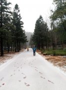 广西雪景分外娇 踏雪何须到北国