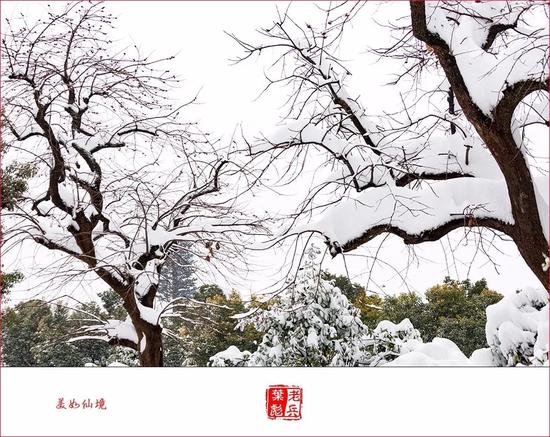 摄影:老兵影像(叶彪)