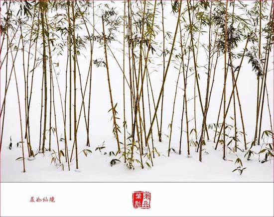 摄影:老兵影像(叶彪)