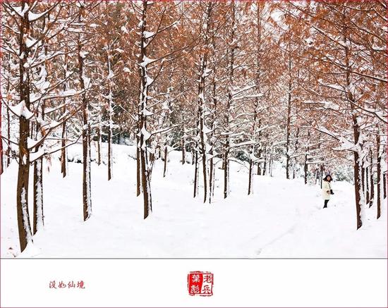 摄影:老兵影像(叶彪)