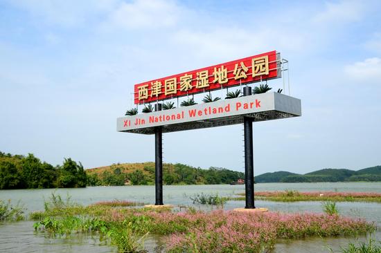 图片来自横县县宣