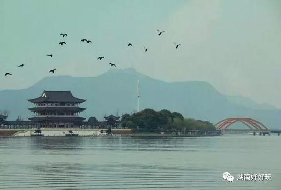 请点击此处输入图片描述