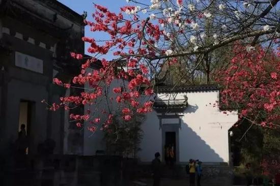 by 吴孙民