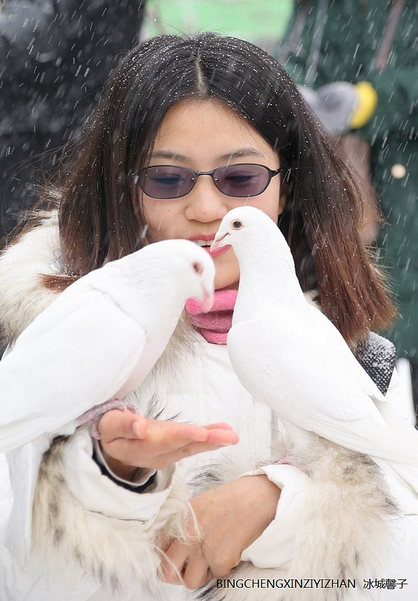 走进三月,一场大雪降临哈尔滨