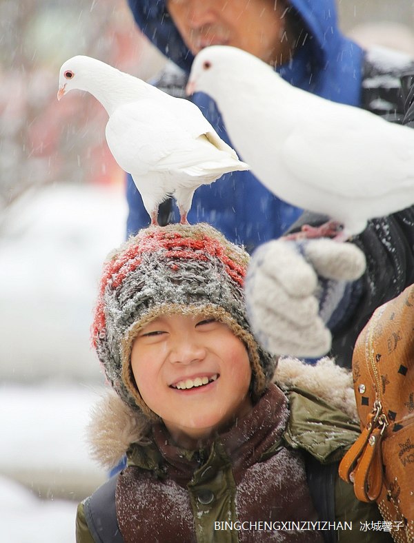 走进三月,一场大雪降临哈尔滨