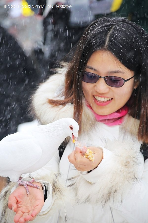 走进三月,一场大雪降临哈尔滨