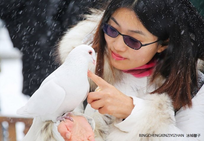 走进三月,一场大雪降临哈尔滨