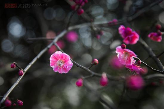 三八节她们穿汉服坚持工作,成最美风景,引游客围观