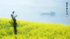 阳春三月 徽州多彩气自华
