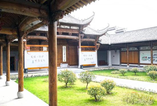 摄影:野山杜鹃