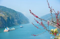 春到长江，西陵峡口赏花看景正当时