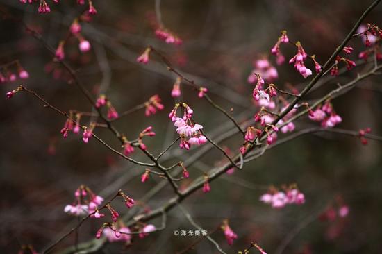 桐城踏春:隐匿于清代文坛的披雪瀑,留下北宋“到此一游”刻文