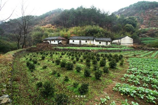 桐城踏春:隐匿于清代文坛的披雪瀑,留下北宋“到此一游”刻文