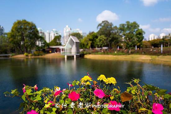 最美婚姻登记处,尚未开张,已带红一个都市<a data-cke-saved-href='http://travel.sina.com.cn/shantou_xiaogongyuan-lvyou/?from=b-keyword' href='http://travel.sina.com.cn/shantou_xiaogongyuan-lvyou/?from=b-keyword' target='_blank'>小公园</a>