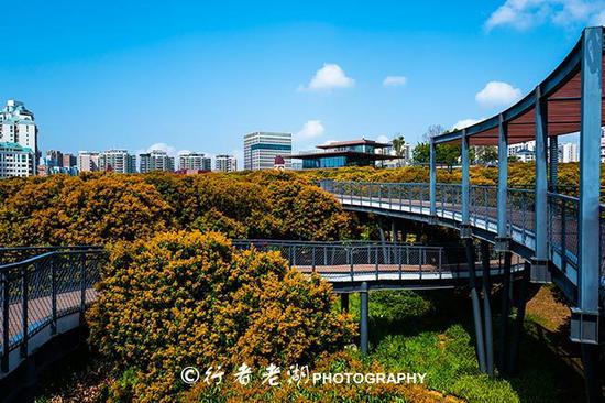 最美婚姻登记处,尚未开张,已带红一个都市小公园