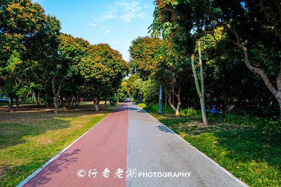 最美婚姻登记处,尚未开张,已带红一个都市小公园