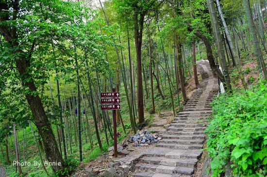 撩开薄雾与轻纱,发现雨雾中的别样<a data-cke-saved-href='http://travel.sina.com.cn/huzhou_moganshan_17666-lvyou/?from=b-keyword' href='http://travel.sina.com.cn/huzhou_moganshan_17666-lvyou/?from=b-keyword' target='_blank'>莫干山</a>,曼妙含蓄也生机盎然