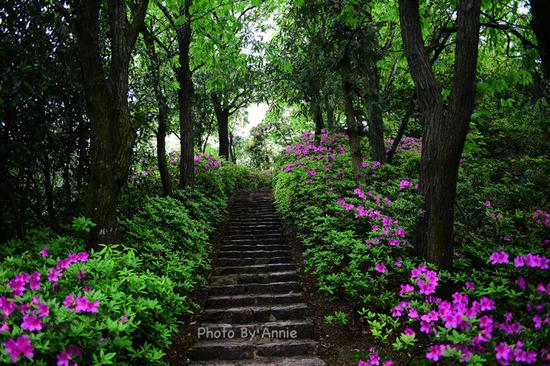 撩开薄雾与轻纱,发现雨雾中的别样<a data-cke-saved-href='http://travel.sina.com.cn/huzhou_moganshan_17666-lvyou/?from=b-keyword' href='http://travel.sina.com.cn/huzhou_moganshan_17666-lvyou/?from=b-keyword' target='_blank'>莫干山</a>,曼妙含蓄也生机盎然
