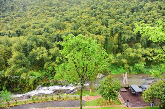 撩开薄雾与轻纱,发现雨雾中的别样<a data-cke-saved-href='http://travel.sina.com.cn/huzhou_moganshan_17666-lvyou/?from=b-keyword' href='http://travel.sina.com.cn/huzhou_moganshan_17666-lvyou/?from=b-keyword' target='_blank'>莫干山</a>,曼妙含蓄也生机盎然