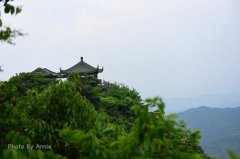雨雾中的别样莫干山 曼妙含蓄也生机盎然