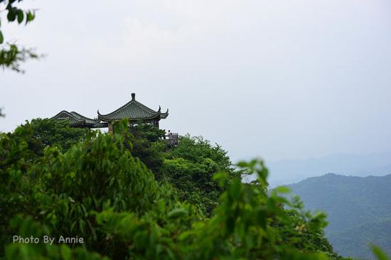 撩开薄雾与轻纱,发现雨雾中的别样<a data-cke-saved-href='http://travel.sina.com.cn/huzhou_moganshan_17666-lvyou/?from=b-keyword' href='http://travel.sina.com.cn/huzhou_moganshan_17666-lvyou/?from=b-keyword' target='_blank'><em>莫干山</em></a>,曼妙含蓄也生机盎然