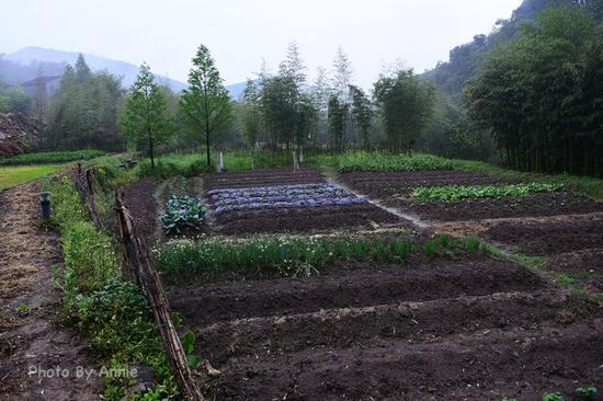 撩开薄雾与轻纱,发现雨雾中的别样<a data-cke-saved-href='http://travel.sina.com.cn/huzhou_moganshan_17666-lvyou/?from=b-keyword' href='http://travel.sina.com.cn/huzhou_moganshan_17666-lvyou/?from=b-keyword' target='_blank'>莫干山</a>,曼妙含蓄也生机盎然